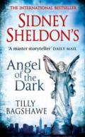 Sidney Sheldon's Angel of the Dark