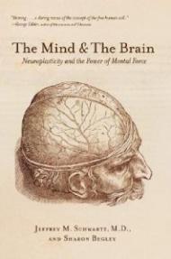 THE MIND & THE BRAIN