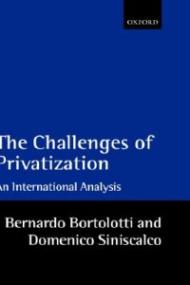 The Problems of Privatization: An International Analysis