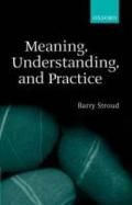 Meaning, Understanding, and Practice: Philosophical Essays