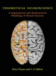 Theoretical Neuroscience – Computational and Mathematical Modeling of Neural Systems