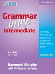 Grammar in Use Intermediate