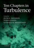 TEN CHAPTERS IN TURBULENCE