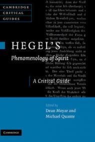 Hegel's Phenomenology of Spirit: A Critical Guide