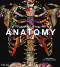 Anatomy: Exploring the Human Body