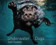 Underwater Dogs. by Seth Casteel