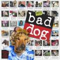 Bad Dog Calendar