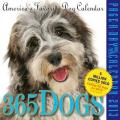 365 Dogs Page-A-Day Calendar 2013