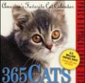 365 Cats Calendar 2013