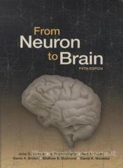 FROM NERON TO BRAIN