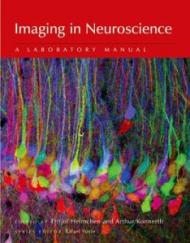 Imaging in Neuroscience: A Laboratory Manual