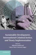 Sustainable Development, International Criminal Law, and Treaty Implementation