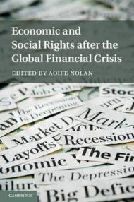 Economic and Social Rights after the Global Financial Crisis (English Edition)