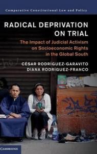 Radical Deprivation on Trial: The Impact of Judicial Activism on Socioeconomic Rights in the Global South