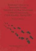 Relational Cohesion in Palaeolithic Europe: Hominin-Cave Bear Interactions in Moravia and Silesia, Czech Republic, During OIS3