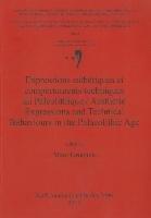 Expressions Esthetiques Et Comportements Techniques Au Paleolithique / Aesthetic Expressions and Technical Behaviours in the Palaeolithic Age