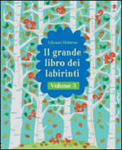 Il grande libro dei labirinti. 3.