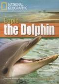 A Dolphin Named Cupid: Footprint Reading Library 1600
