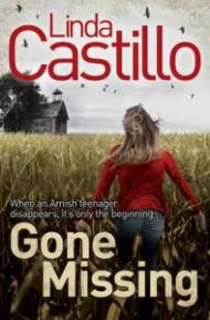 Gone Missing (Kate Burkholder)