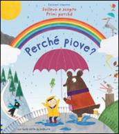 Perché piove? Ediz. illustrata