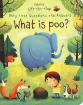 Lift the flap. What is poo? Ediz. a colori