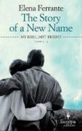 The Story of a New Name: Neapolitan Novels, Book Two (English Edition)