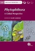 Phytophthora