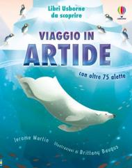 Viaggio in Artide