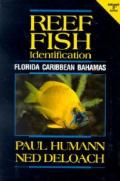 Reef Fish Identification: Florida Caribbean Bahamas