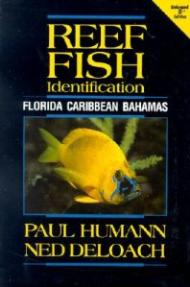 Reef Fish Identification: Florida Caribbean Bahamas