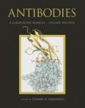 Antibodies