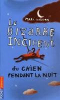 Le bizarre incident du chien p