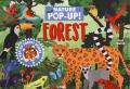 Forest. Nature pop-up! Ediz. a colori