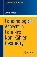 Cohomological Aspects in Complex Non-Kahler Geometry