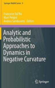 Analytic and Probabilistic Approaches to Dynamics in Negative Curvature