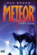 Meteor (Allgemeine Reihe. Bastei Lübbe Taschenbücher) (German Edition)