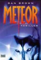 Meteor (Allgemeine Reihe. Bastei Lübbe Taschenbücher) (German Edition)