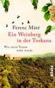 Weinberg in der toskana (Ein)