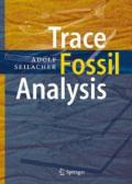 Trace Fossil Analysis