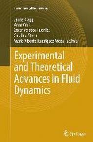 Experimental and Theoretical Advances in Fluid Dynamics