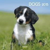 Dogs 2015