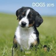 Dogs 2015