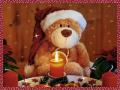 Bärige Weihnacht; Teddy Bears Christmas; Nounours Noël