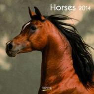 Horses 2014. Broschürenkalender