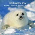 Tierkinder 2014. Broschürenkalender