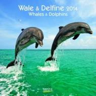 Wale & Delfine, Broschürenkalender 2014