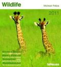 Wildlife 2011: Wochenkalender