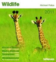 Wildlife 2011: Wochenkalender