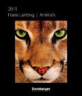 Animals 2011 (CD Cal)