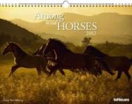 Among Wild Horses 2012